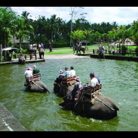 Elephant Ride Bali