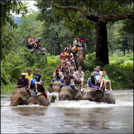 Elephant Ride Bali