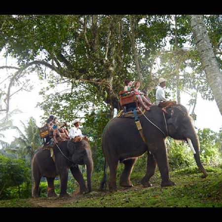 Elephant Ride Bali