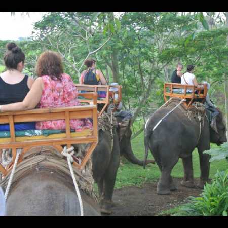 Elephant Ride Bali