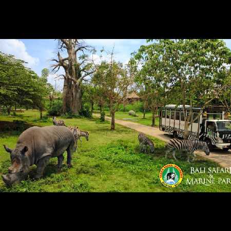 Bali Safari Park - Hire Bali car driver for Private Tour