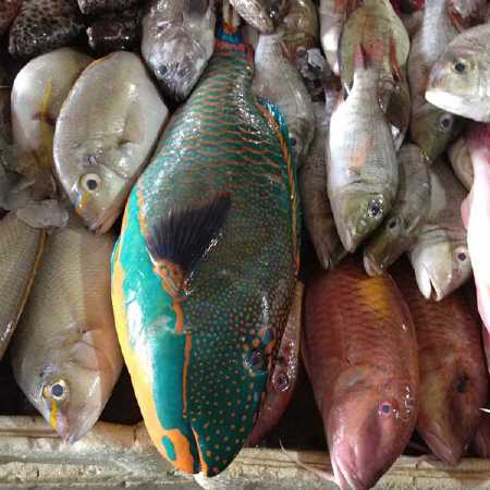 Fish Market - Hire Bali car driver for Private Tour