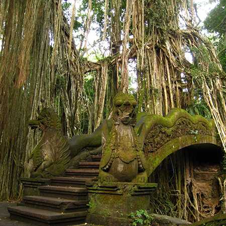 Ubud Monkey Forest