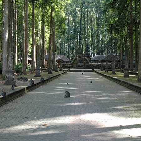 Ubud Monkey Forest